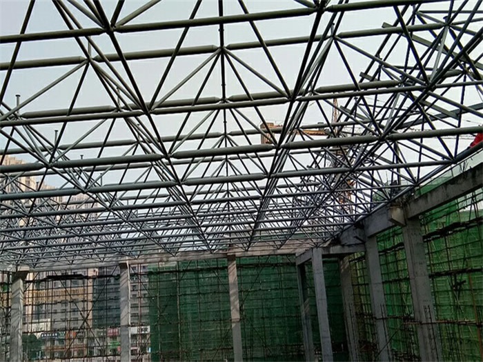延安光谷第十一小学网架